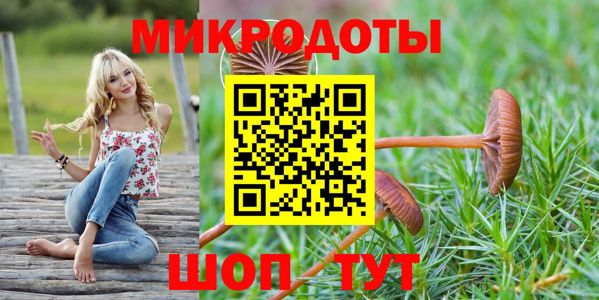 Галлюциногенные грибы Psilocybine cubensis Большой Камень
