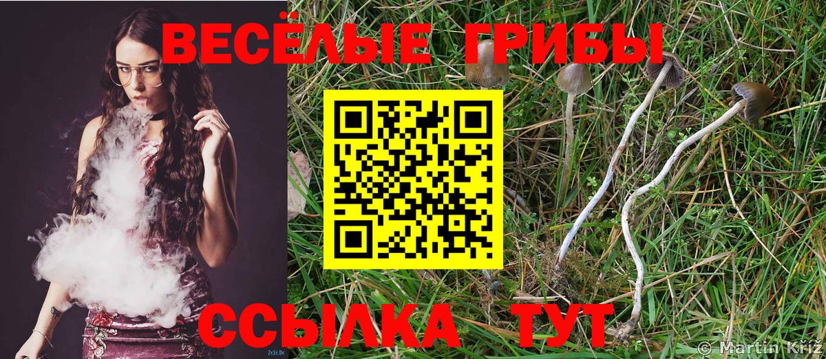 Большой Камень  Каннабис  COCAIN  Вход с VPN  Бошки Шишки  Меф МЯУ МЯУ кристаллы  ГАШИШ 